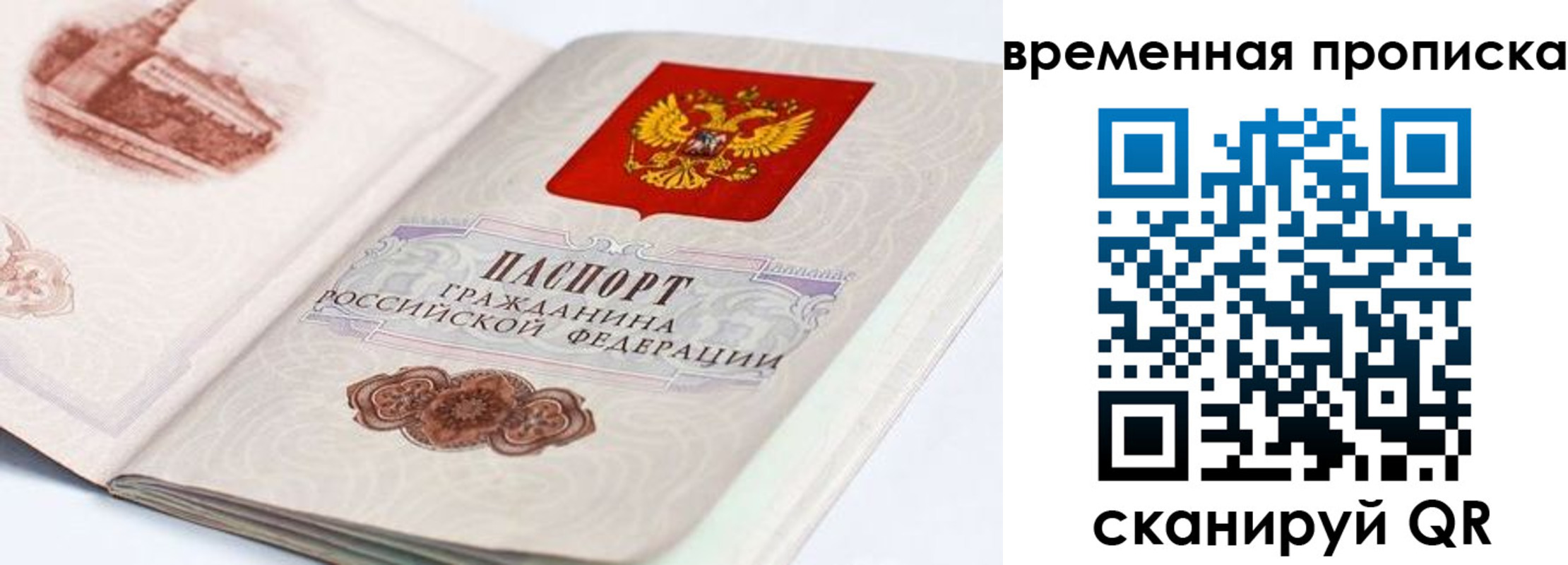 прописка 2025 в Стародубе